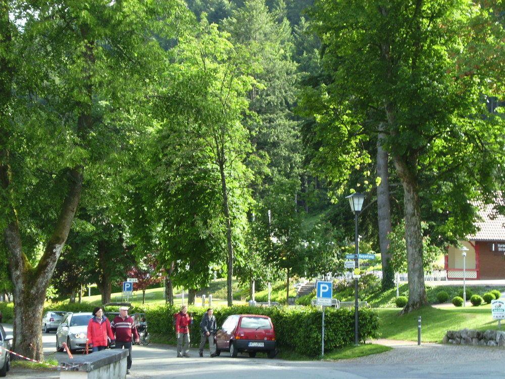 Europaeisches Gaeste- Und Seminarhaus Todtmoos Luaran gambar
